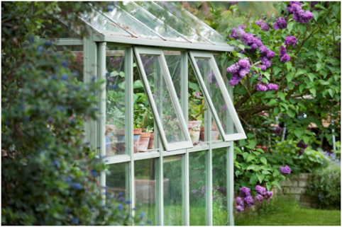 Get Green: 5 Easy Gardening Tips For The Sunshine Season